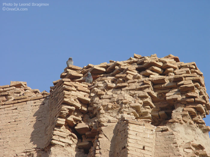 Misdahkan architectural complex