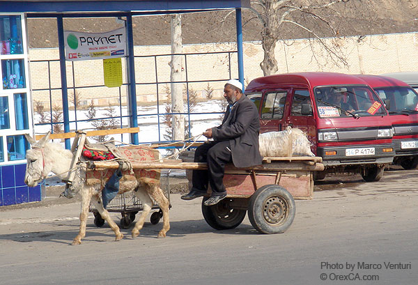 In Samarkand