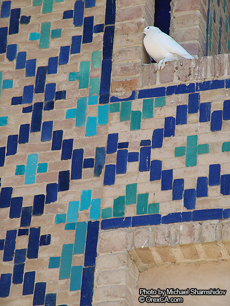 Bukhara architecture