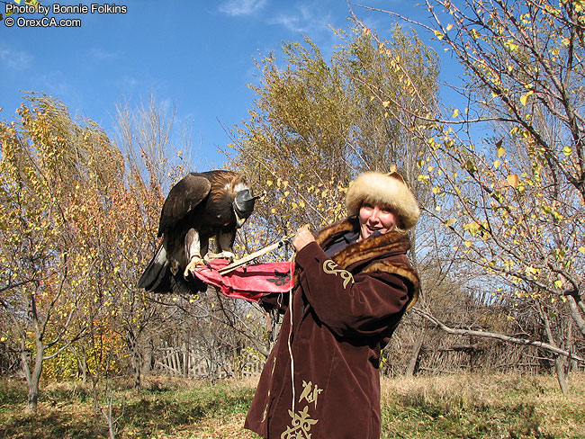 Eagle hunting 