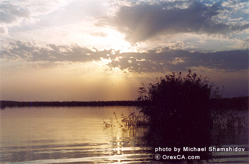 Nature of Arnasay