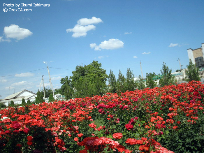 Samarkand pictures