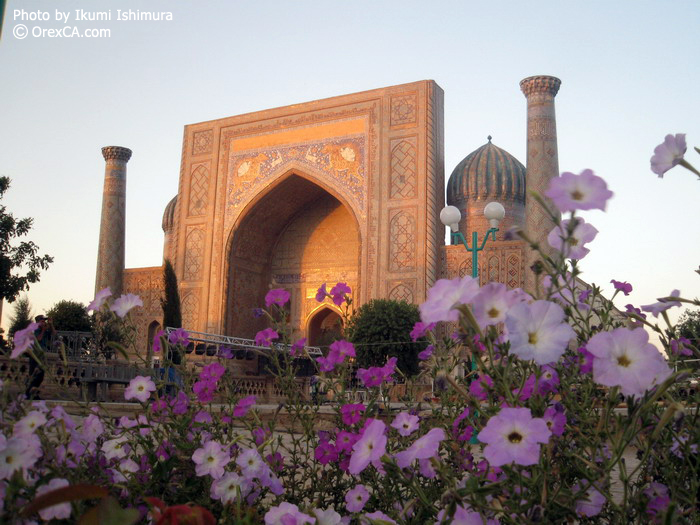 Sher-Dor Madrassah