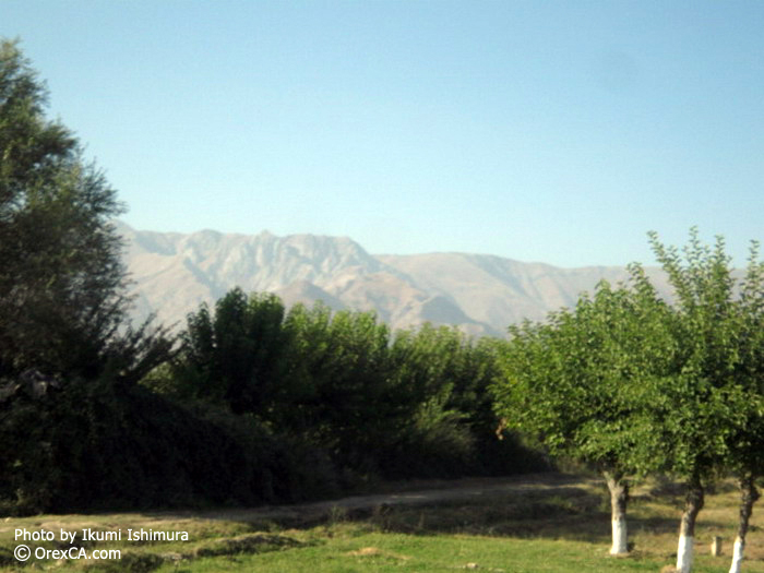Samarkand pictures