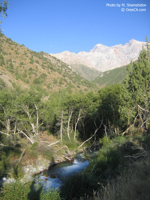 Sayram-su river