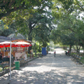 Batumi sea-front