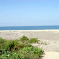 Georgia Black Sea