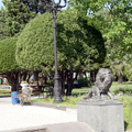 Batumi pictures