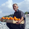 Georgian mandarines