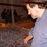 Georgia wine country
