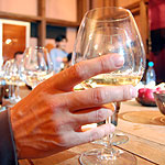 Georgia wine country