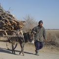 Tugay forest - the only fuel