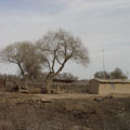 Shepherds camp