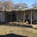 Village house� yard