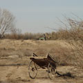 Arba