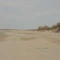 Dried Amu-Darya sand-bed