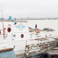 Amu-Darya cruise fleet