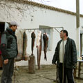 Fishcafe in Kipchak