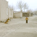 Kipchak village