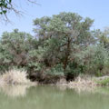 Baday-Tugay State Reserve
