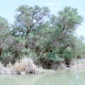 Baday-Tugay State Reserve