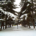 Almaty parks
