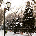 Panfilofs Park, Almaty