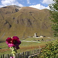 North Caucasus