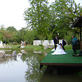 Japanese Garden