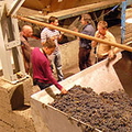 Teliani Valley winery