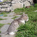 The Ushguli villages