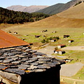 Tusheti Georgia