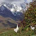 Caucasus mountains, Georgia
