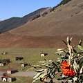 Tusheti villages