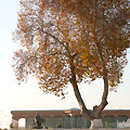 Uzbekistan travel