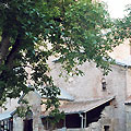 Kintsvisi