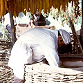 Georgia country cuisine