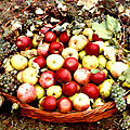 Georgian fruits