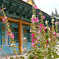 Karakol Mosque