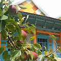 A town of Karakol