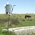 Wash-stand in desert