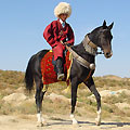 Turkmenistan horses