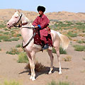 Turkmenistan horses