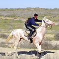 Horse tour