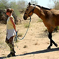 Desert tour