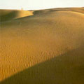 Karakum desert