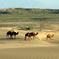 Turkmenistan desert