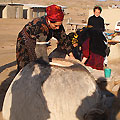 Tandir