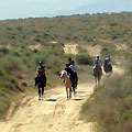 Horseback trip