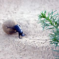 Turkmenistan nature